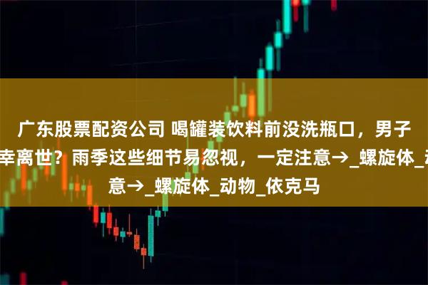 广东股票配资公司 喝罐装饮料前没洗瓶口，男子短短几天不幸离世？雨季这些细节易忽视，一定注意→_螺旋体_动物_依克马